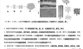 七年级上册生物复习资料